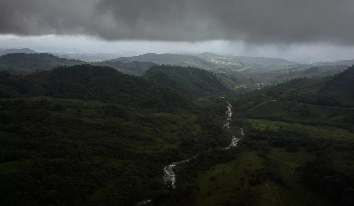 Selva colombiana recibe recursos para ser salvada