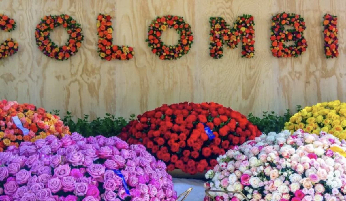 Flores colombianas llenarán el mercado de USA, Japón y Canadá