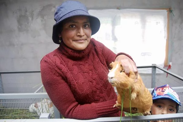 Ana Gabriela Guaján de 29 años. Ella alimenta a sus cuyes en el criadero que ha construido con la ayuda recibida para regresar a Ecuador desde Pamplona.