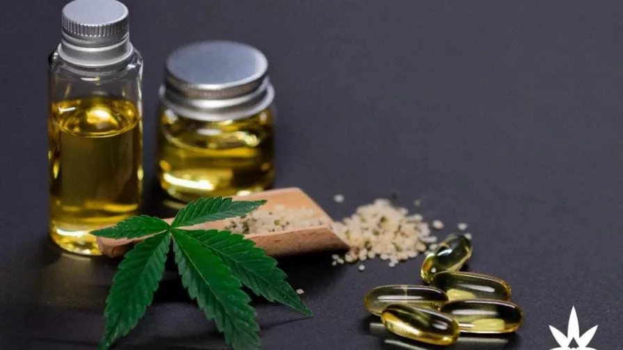 La empresa CannAndes envió 5 kilogramos de flor seca de cáñamo y un litro de tintura pura de extracto de cannabis a fabricante de medicamentos.