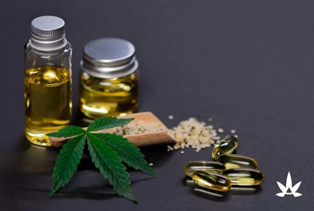 La empresa CannAndes envió 5 kilogramos de flor seca de cáñamo y un litro de tintura pura de extracto de cannabis a fabricante de medicamentos.