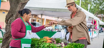 Mercados de alimentos y ferias libres que contribuyen al diseño de ciudades resilientes al clima.