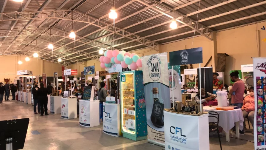 En el Complejo Ferial se ha delimitado las áreas: la comercial con 323 puestos, naves comerciales con 100 puestos, patio de comidas con 18 locales, naves empresariales y parque de diversión.