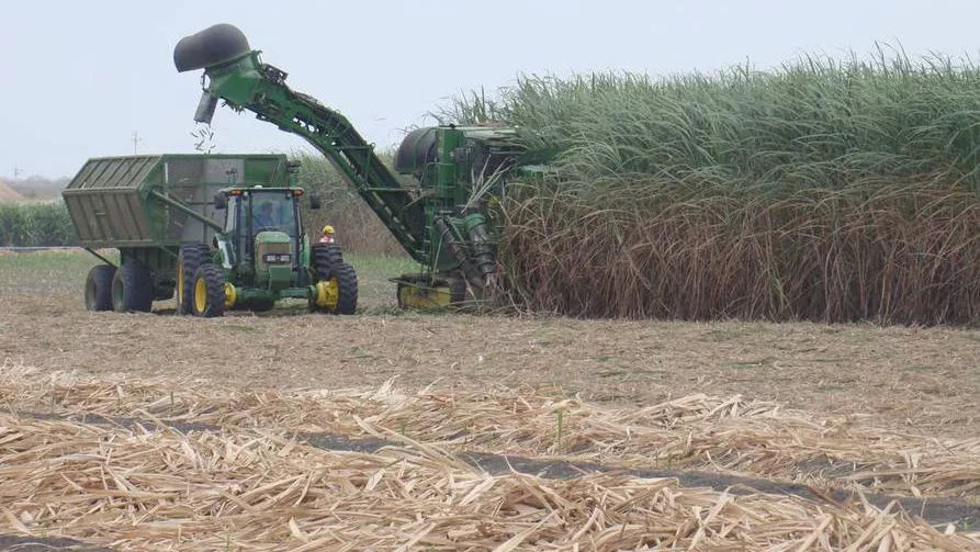 Ni dos meses se mantuvo en vigencia el nuevo precio mínimo de sustentación de la tonelada de caña de azúcar, que el Ministerio de Agricultura y Ganadería (MAG) fijó en $35,05, a través del Acuerdo Ministerial 047 del 26 de junio pasado.