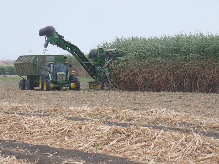 Ni dos meses se mantuvo en vigencia el nuevo precio mínimo de sustentación de la tonelada de caña de azúcar, que el Ministerio de Agricultura y Ganadería (MAG) fijó en $35,05, a través del Acuerdo Ministerial 047 del 26 de junio pasado.