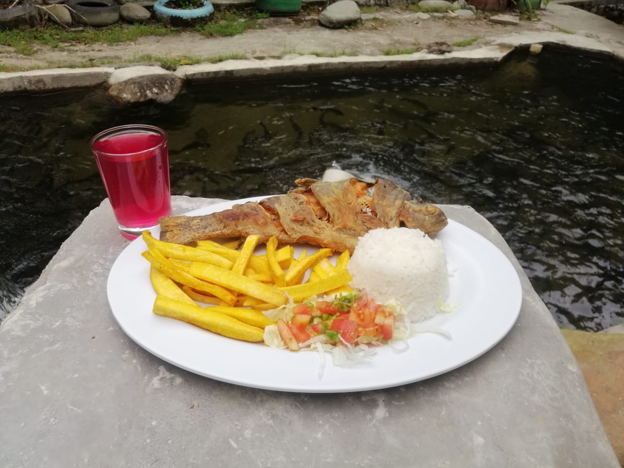 El lugar de a poco fue posicionándose como un destino diferente a los que ya contaban en la zona Suroriental.
