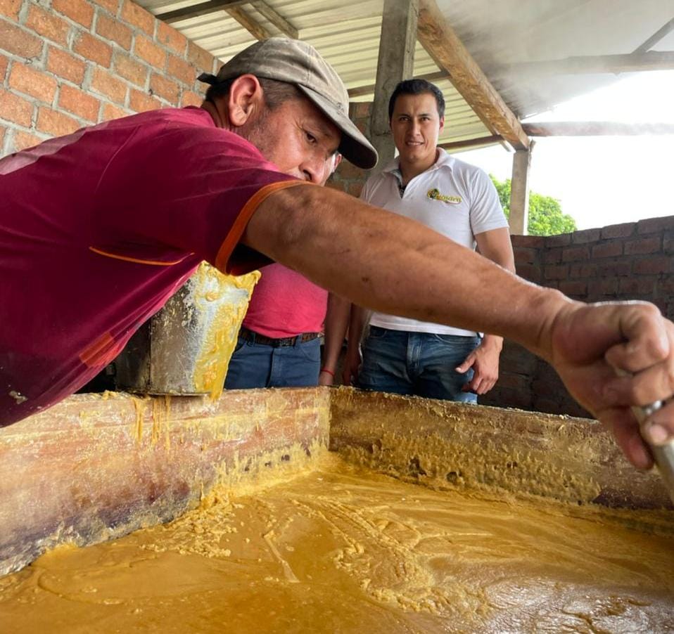 Al día se muele un promedio de 8 cochas, es decir, se produce unas 8 mil panelas al diarias.