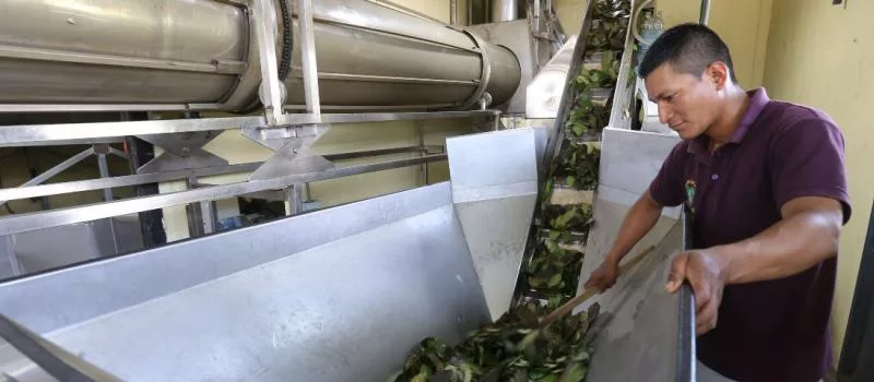 En términos económicos, los seleccionados también reciben apoyo por ejemplo para la obtención de activos productivos que requiera el emprendimiento.