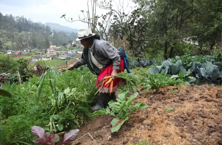 El propósito es orientar a los agricultores del país sobre la situación del suelo y definir estrategias para mejorar la producción agrícola.