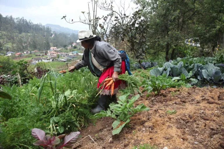El propósito es orientar a los agricultores del país sobre la situación del suelo y definir estrategias para mejorar la producción agrícola.