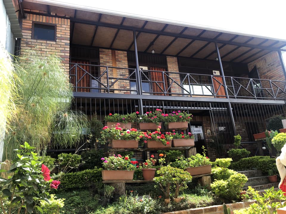 El jardín que contiene diversas rosas y plantas ornamentales que lo hacen único.