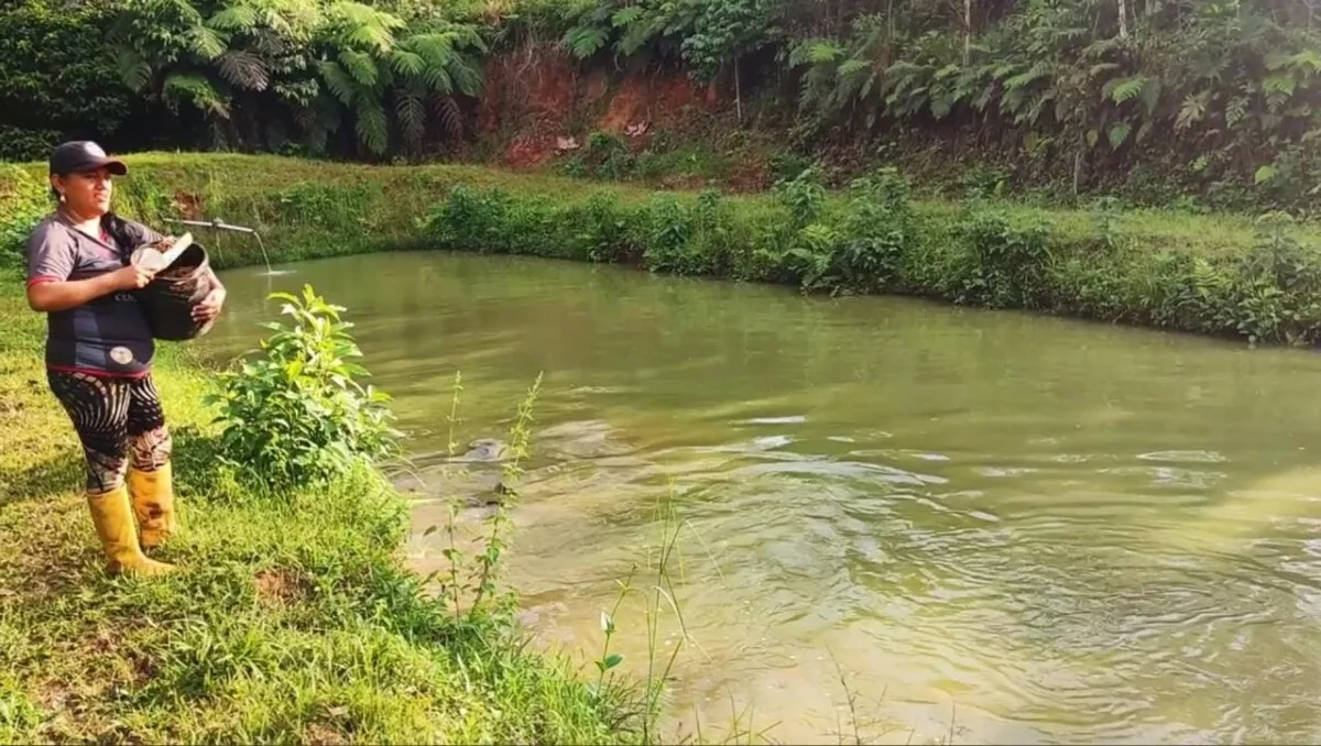 La organización está conformada por 30 socios jurídicos y también cuentan con socios estratégicos a nivel de la amazonia, en las provincias de Sucumbios y Pastaza.