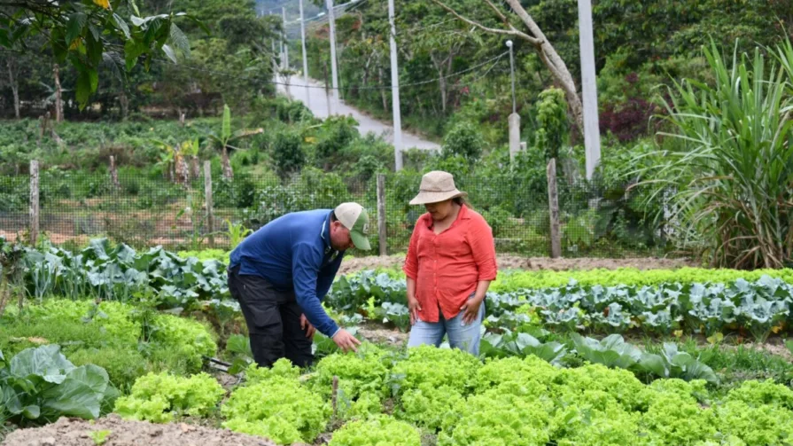 En los nueve cantones de la provincia se edifican invernaderos comerciales, con el fin de potenciar la actividad agrícola y económica de las organizaciones.