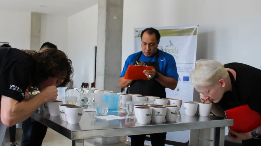 El puntaje tope en el mundo es de 92 puntos, en el 2021, Ecuador logró los 91,04 puntos.