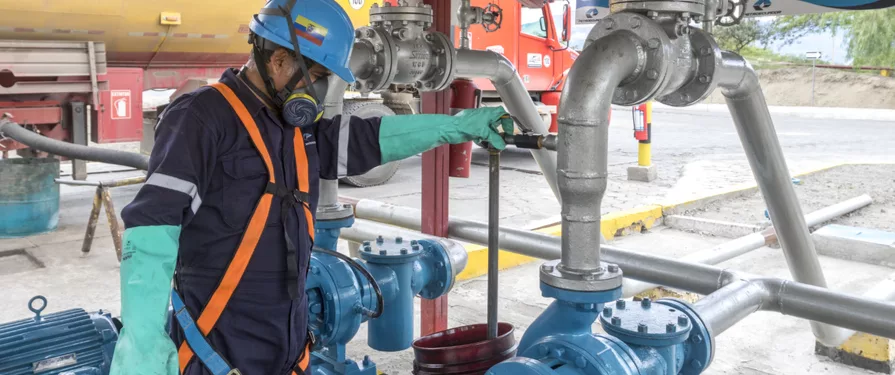 La ronda Intracampos II está compuesta por seis bloques petroleros, ubicados en la provincia amazónica de Sucumbíos .