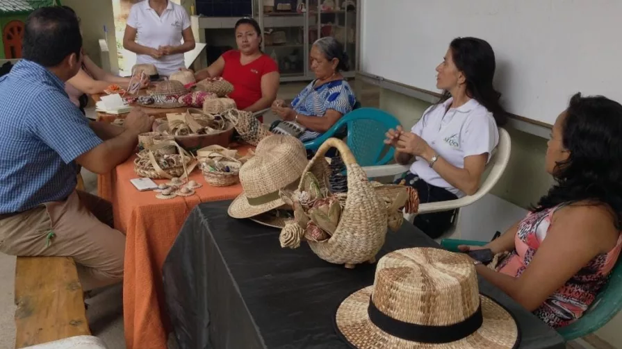 Este emprendimiento inicia con la necesidad de mejorar los ingresos de sus asociadas y promover la artesanía de su provincia, zona bananera por excelencia.