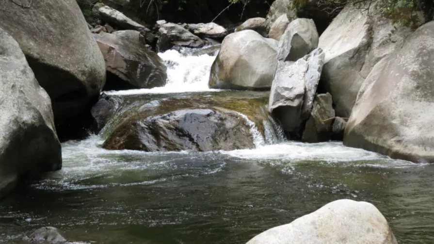 Según el Banco Interamericano de Desarrollo (BID), el 75% de la población de la región cuenta con agua potable gestionada de manera segura y tan sólo el 31% goza de saneamiento seguro.