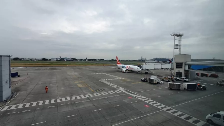Los últimos incidentes se conocen porque se hizo pública la queja de Equair, pero los pilotos aseguran que hay muchas más notificaciones de “peligro aviario”.