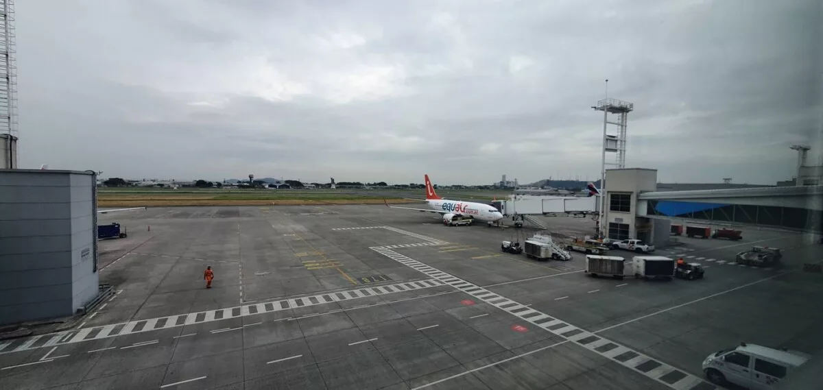 Los últimos incidentes se conocen porque se hizo pública la queja de Equair, pero los pilotos aseguran que hay muchas más notificaciones de “peligro aviario”.