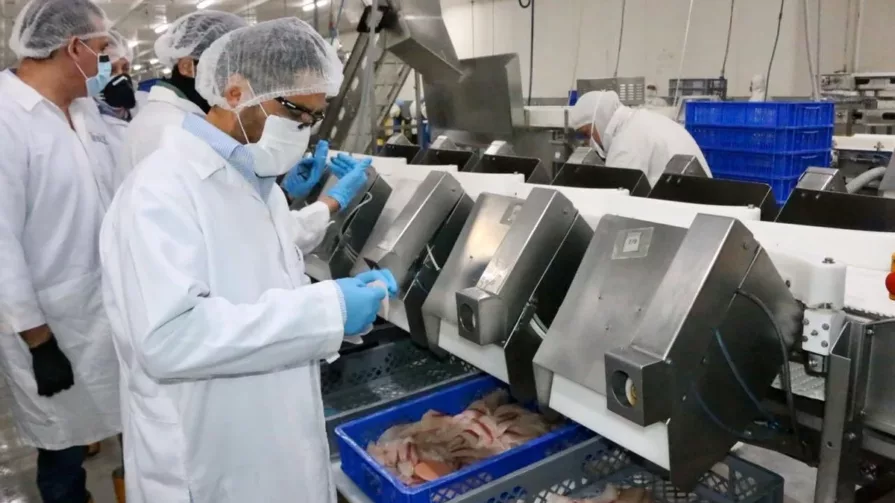 Eso, en un contexto en el que el sector empresarial registra ventas por $129.147 millones en los 10 primeros meses de 2022, según el Servicio de Rentas Internas (SRI).