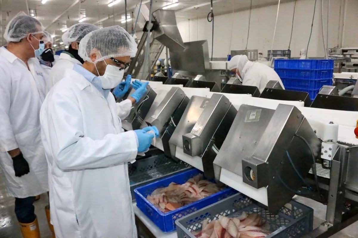 Eso, en un contexto en el que el sector empresarial registra ventas por $129.147 millones en los 10 primeros meses de 2022, según el Servicio de Rentas Internas (SRI).
