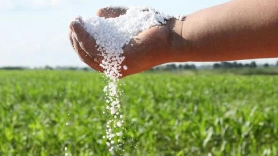 Así los agricultores cancelan la mitad, es decir si se lo comercializa actualmente entre los $50 y $55 dólares pagan $25 $27,50 dólares.