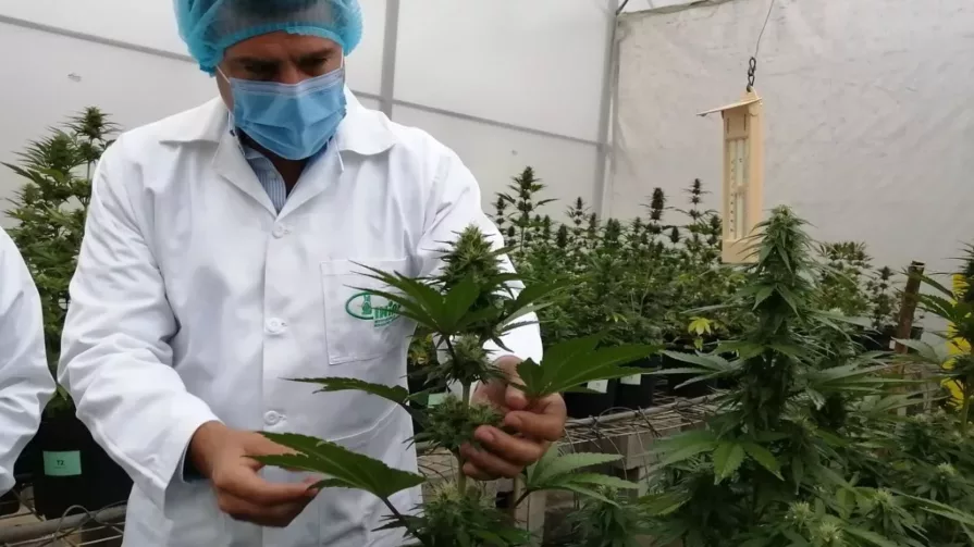 Entre los principales objetivos de este proyecto es posicionar al país como una de las economías que se suman a la apuesta global para la producción de materiales y recursos sostenibles.