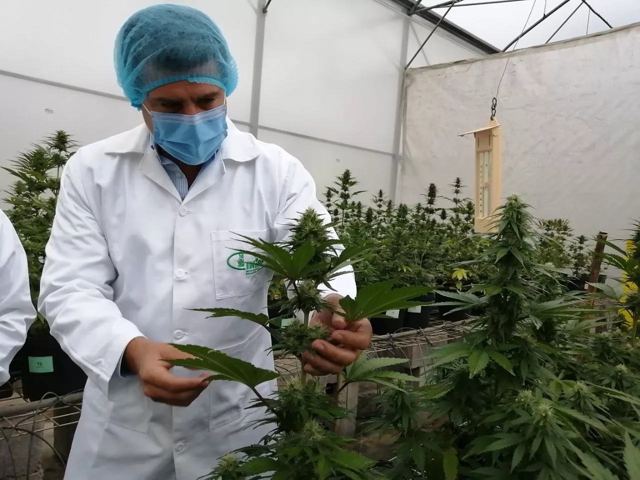 Entre los principales objetivos de este proyecto es posicionar al país como una de las economías que se suman a la apuesta global para la producción de materiales y recursos sostenibles.