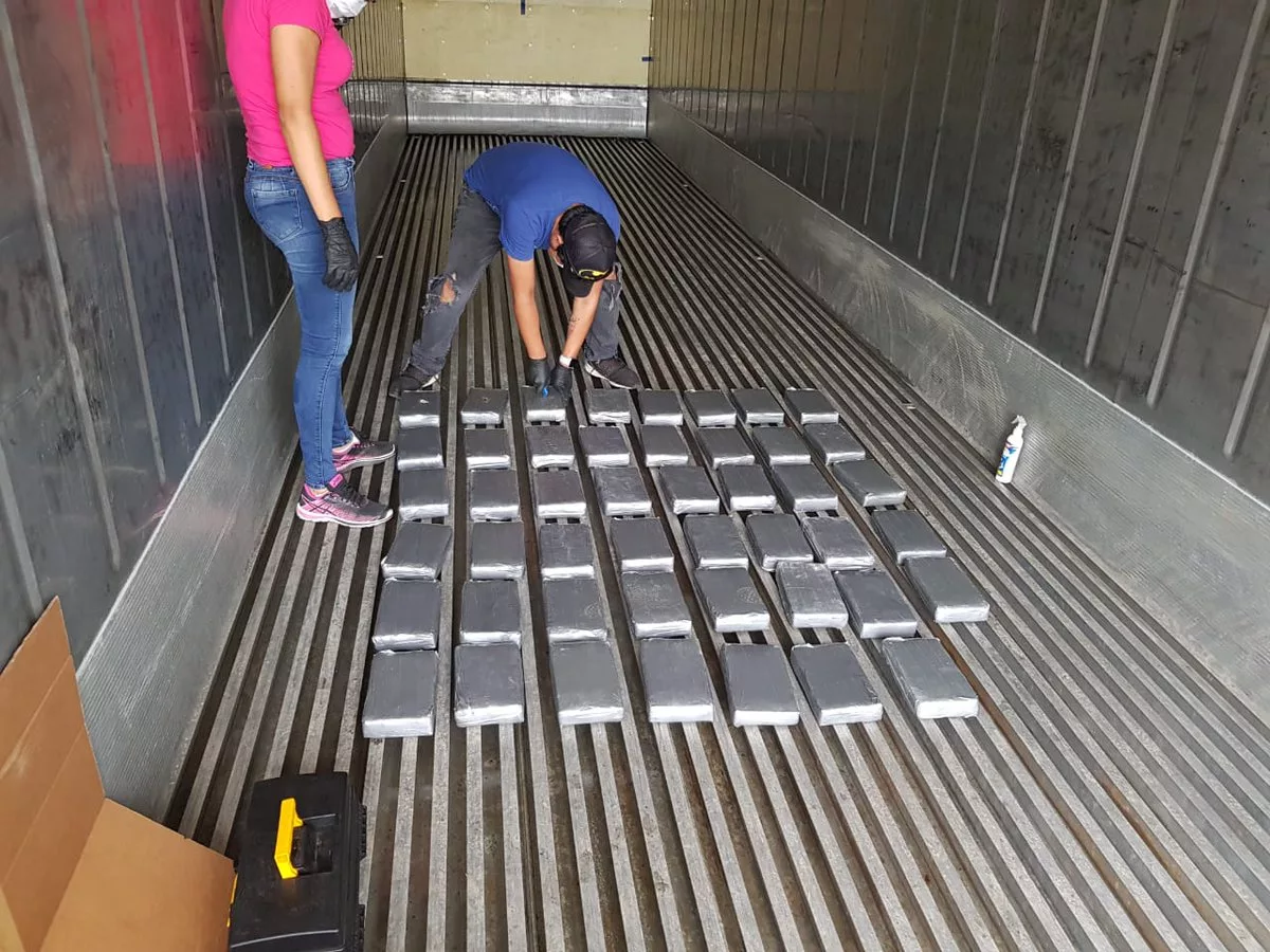 La cocaína que sale de Ecuador también es introducida en cargamentos de banano y piña, cuyo destino es Bélgica, Holanda y Lituania.