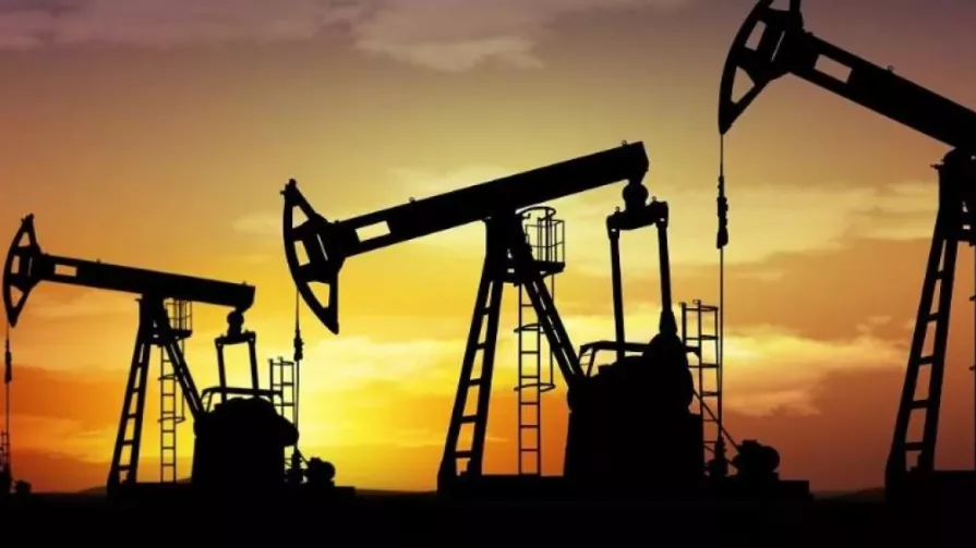 Perenco llegó a Ecuador en 2002, tras comprarle a la firma Kerr McGee el 57,5% de acciones en el bloque petrolero 7 y el 53,7% en el bloque 21.