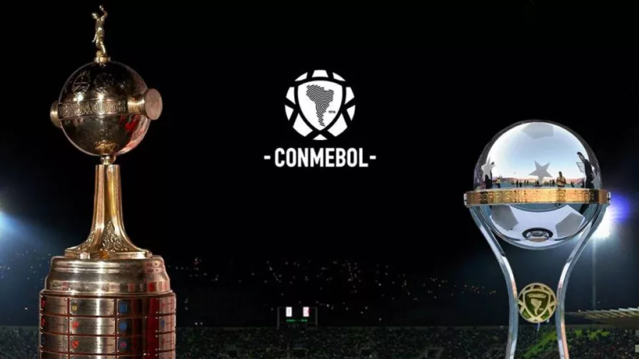 En la Copa Libertadores se repartirán hasta $207,8 millones.