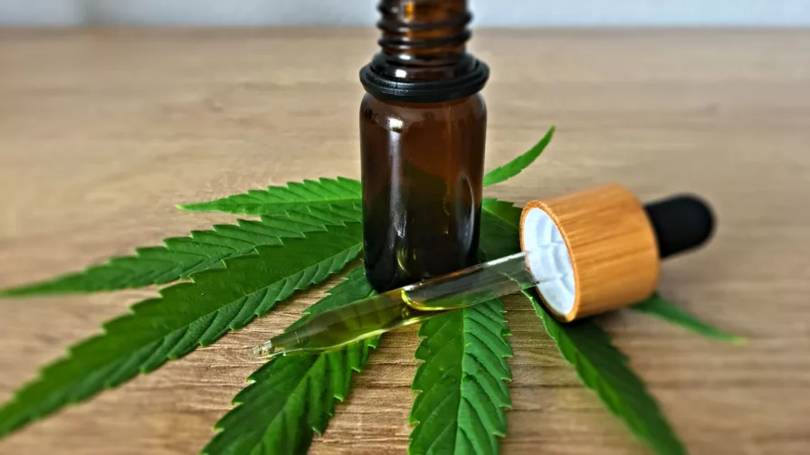 El evento ofrecerá charlas y mesas con expertos en cannabis, exposición de estudios con concurso de poster científicos y una muestra de marcas locales de empresas de cannabis nacionales e internacionales.