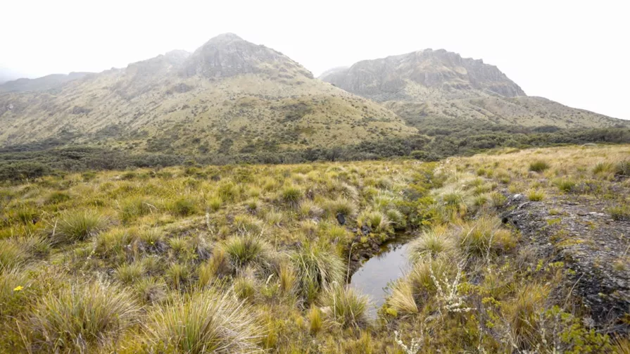 En la superficie del área, se han identificado cuatro tipos de ecosistemas, siendo estos los que dan origen a las fuentes de agua, que hacen que esta zona sea de alta importancia hídrica, tanto para el consumo humano como para el riego.
