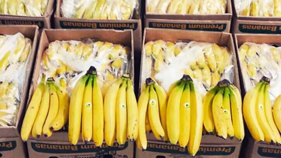 En 2022, el banano sumó $3.267 millones por exportaciones, según datos del Banco Central del Ecuador (BCE).