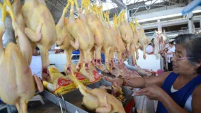 El técnico afirmó que el mercado de la carne de pollo y el precio son cíclicos, obedecen a oferta y demanda nacional.
