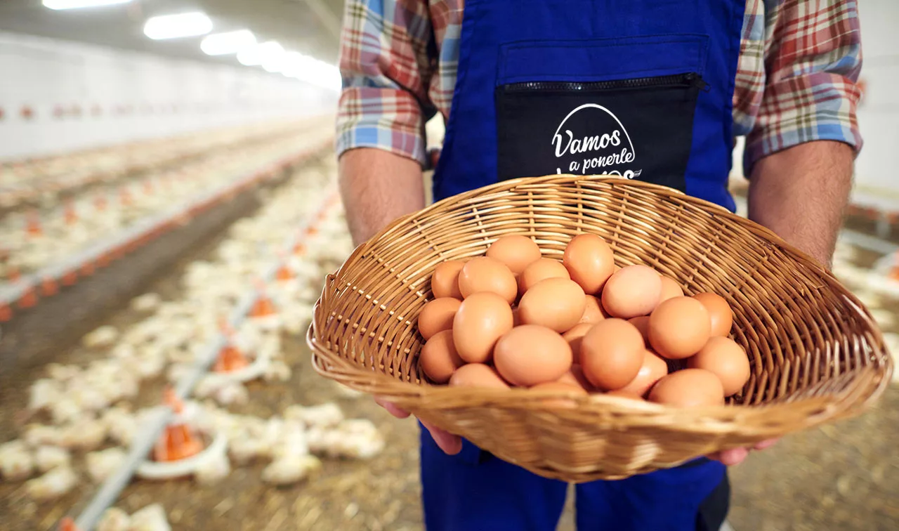 Tiendas de víveres del centro de Quito reportan que el precio de la cubeta de huevos comenzó a subir desde hace unas dos semanas.