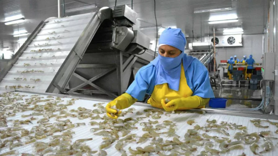 Entre los productos beneficiados, dice Prado, estarían brócoli, banano, camarón, y frutas tropicales. Además de atún y textiles