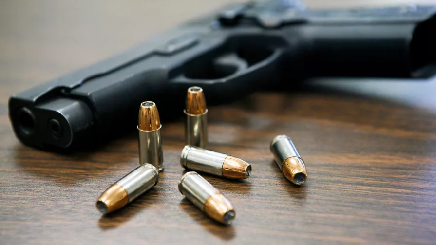 Lasso expresó que se modificó el decreto que permite la tenencia y el porte de armas de uso civil para defensa personal.