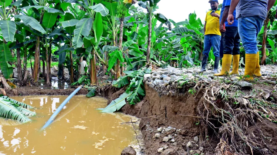 La mayor parte de agricultores damnificados está en Guayas, donde el invierno ha traído inundaciones en distintas zonas: solo en esta provincia hay 7.343 hectáreas afectadas.