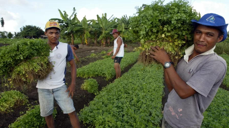 Las actividades se desarrollarán con los 10.000 pequeños productores ecuatorianos en situación de pobreza, indica el FIDA. Se pondrá énfasis en las mujeres y los jóvenes.