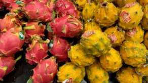 El acuerdo entre ambas empresas busca impulsar el desarrollo del mercado ecuatoriano de frutas exóticas y no tradicionales como: arándanos, pitahaya orgánica (amarilla y roja), jengibre orgánico y orito orgánico.