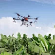 Con drones de más peso se abarcan más hectáreas y son menos horas de trabajo. También es posible cuidar las zonas cercanas a los ríos o la población.