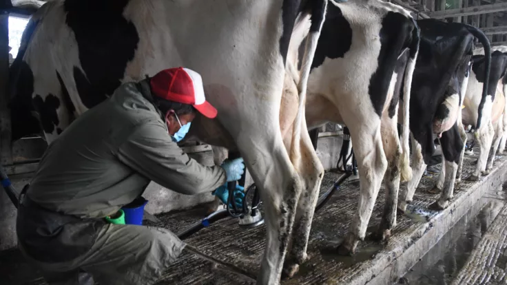 El Ministro de Agricultura explicó que estos centros permitirán formalizar la producción de 280.000 litros diarios de leche cruda. Con esto se beneficiará a 77.000 productores.