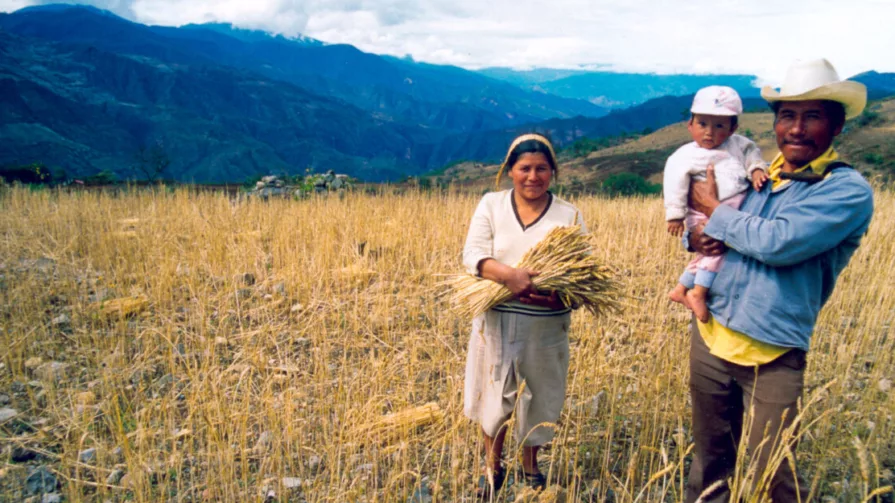Con Biomas de Latinoamérica a un clic se facilitará la venta electrónica para comunidades biomas