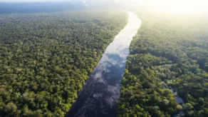 El Amazonas es una zona de mucho peligro y de difícil acceso.